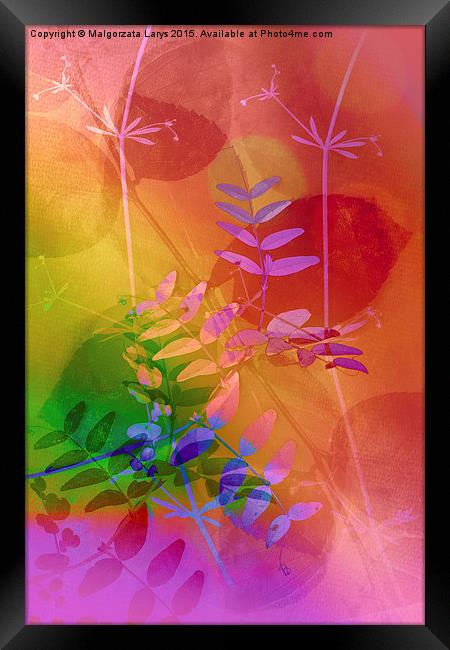 Colours Framed Print by Malgorzata Larys