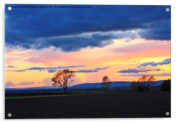 Sunset in Scottish countryside Acrylic by Malgorzata Larys