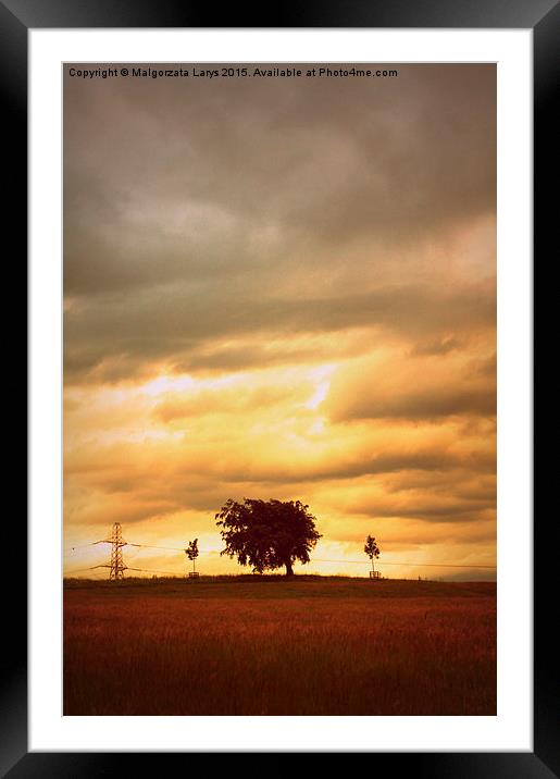 Artistic landscape with a lonely tree in the field Framed Mounted Print by Malgorzata Larys