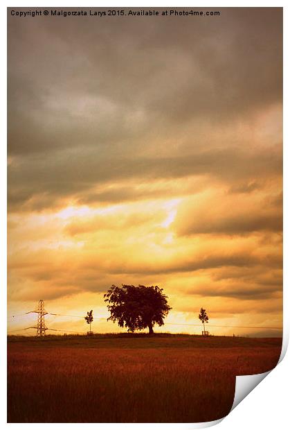 Artistic landscape with a lonely tree in the field Print by Malgorzata Larys