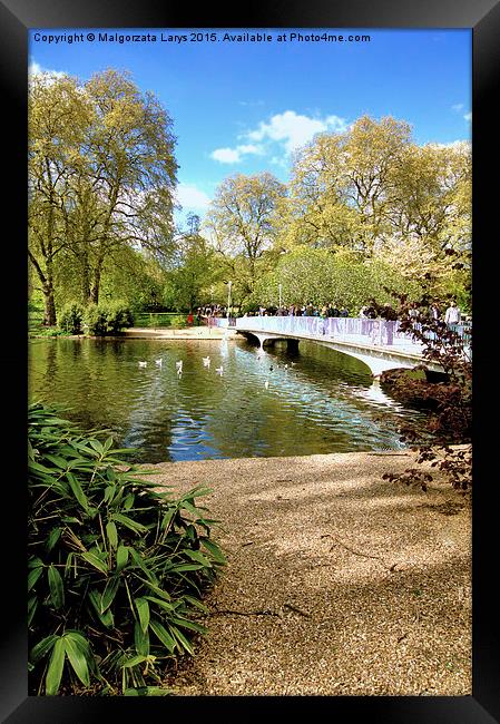  London park, Spring time  Framed Print by Malgorzata Larys