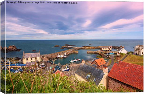 the harbour and village at St. Abbs in Berwickshir Canvas Print by Malgorzata Larys