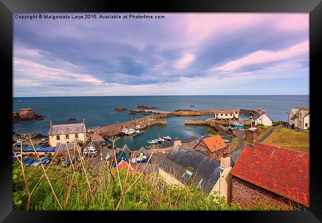 the harbour and village at St. Abbs in Berwickshir Framed Print by Malgorzata Larys