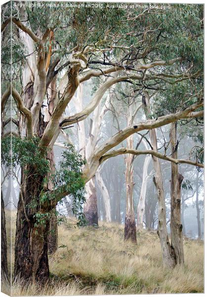  Trees in the Mist Canvas Print by Kristina Kitchingman