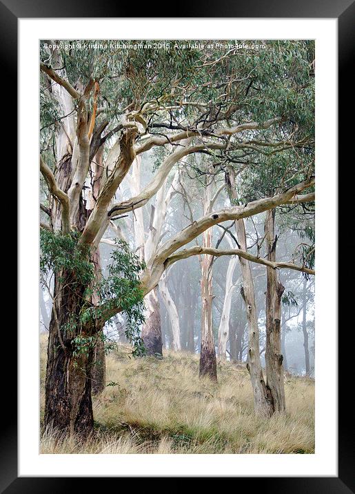  Trees in the Mist Framed Mounted Print by Kristina Kitchingman