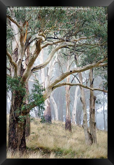  Trees in the Mist Framed Print by Kristina Kitchingman