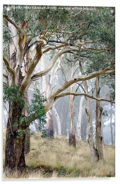 Trees in the Mist Acrylic by Kristina Kitchingman