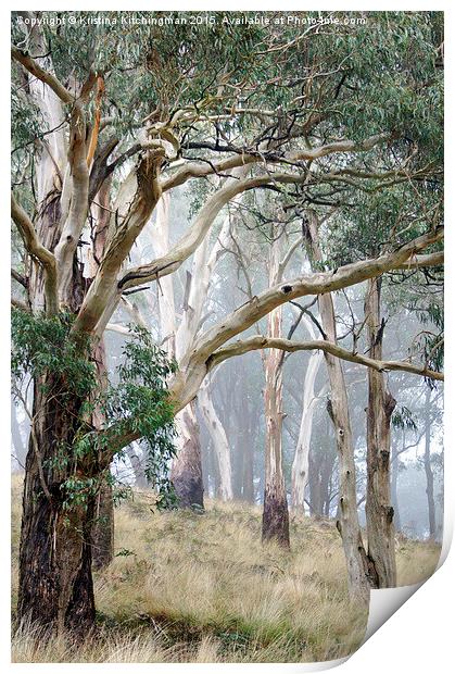  Trees in the Mist Print by Kristina Kitchingman