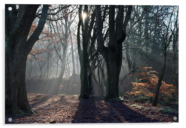  Winter Morning Woods Acrylic by Chris Oldman