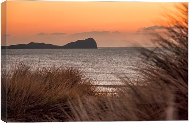 Worms Head at Dusk. Canvas Print by Becky Dix