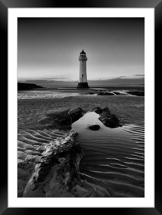  Standing Tall Framed Mounted Print by Jed Pearson