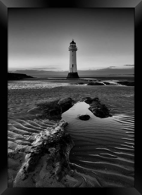  Standing Tall Framed Print by Jed Pearson
