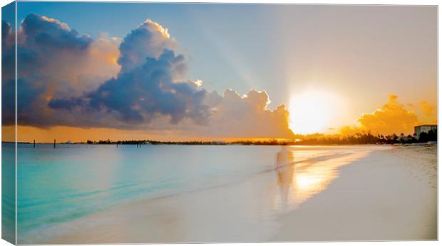  Shadow on the Sunrise Canvas Print by Louise Wilden