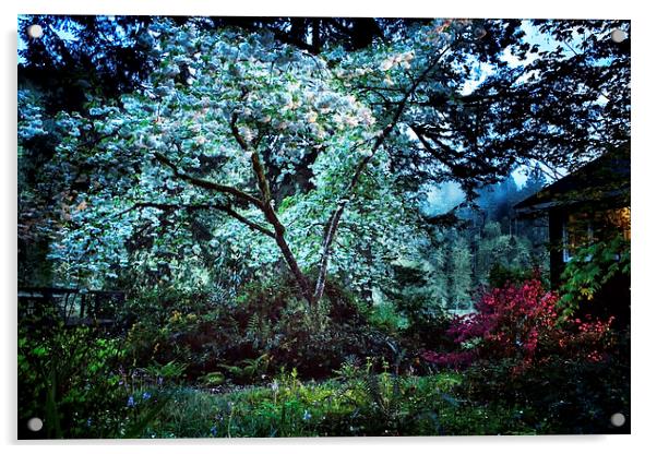  The Cherry Tree at Dusk Acrylic by Belinda Greb