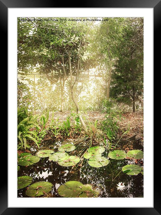  Lily Pond Framed Mounted Print by Judy Hall-Folde