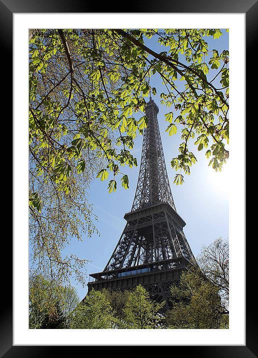  Eiffel Tower Framed Mounted Print by Rebecca Giles