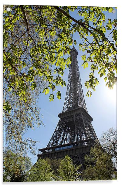  Eiffel Tower Acrylic by Rebecca Giles