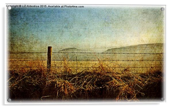  Aberdeenshire Dawn Acrylic by LIZ Alderdice