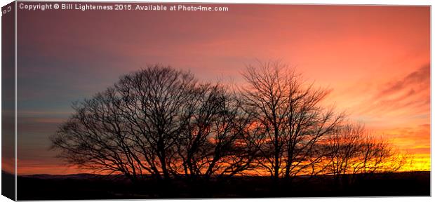  Sunset Through the Trees Canvas Print by Bill Lighterness
