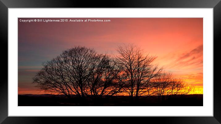  Sunset Through the Trees Framed Mounted Print by Bill Lighterness