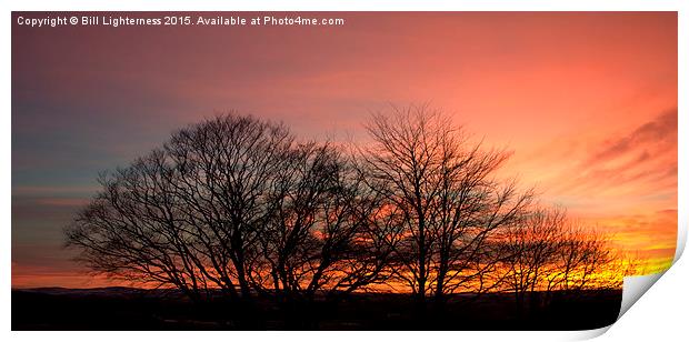  Sunset Through the Trees Print by Bill Lighterness