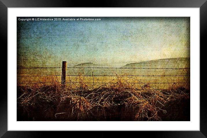 Aberdeenshire Dawn Framed Mounted Print by LIZ Alderdice