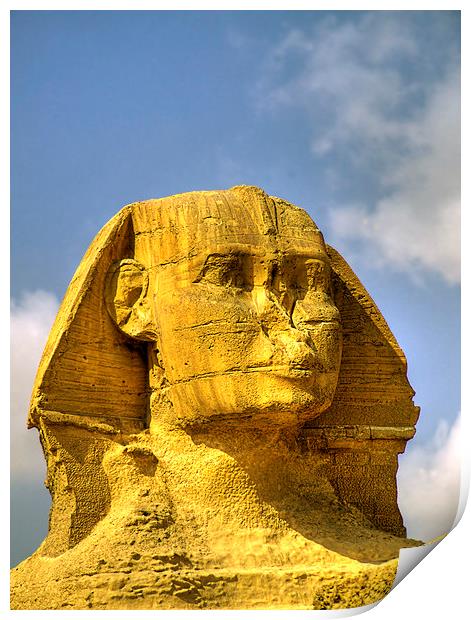 Sphinx head HDR Print by Antony McAulay