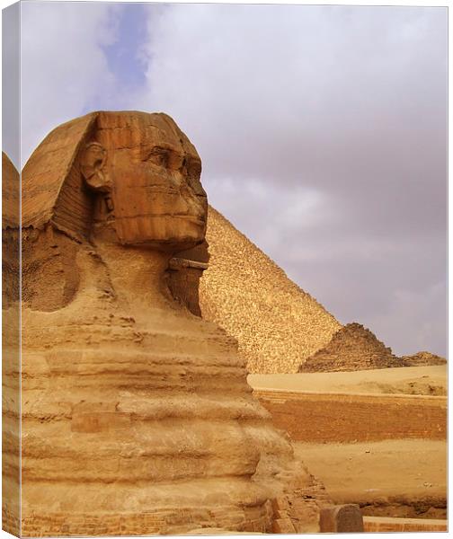 The Sphinx of Egypt 02 Canvas Print by Antony McAulay