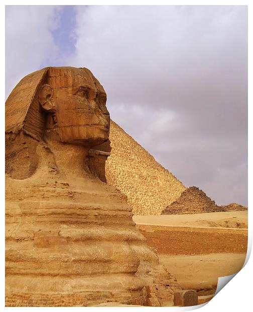The Sphinx of Egypt 02 Print by Antony McAulay