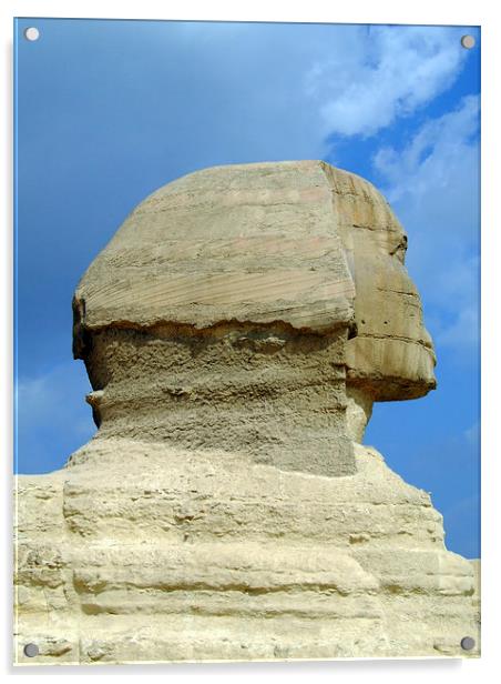 The Sphinx of Egypt 03 Acrylic by Antony McAulay