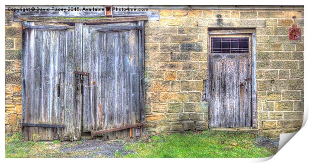  Old Barn Doors Print by David Pacey