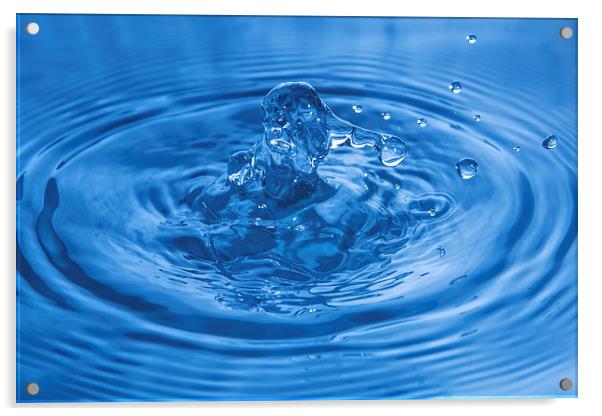  Water Splash 1 Acrylic by Gary Kenyon