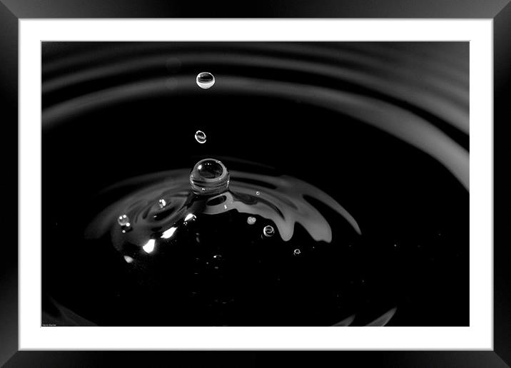 Coffee drop Framed Mounted Print by Kevin Baxter