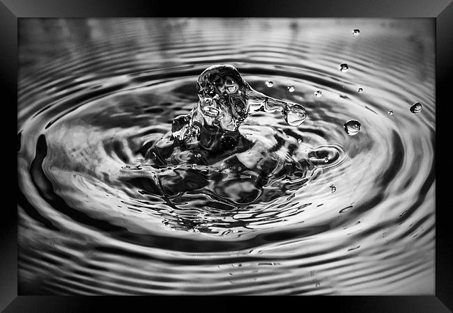  Mono Water Splash  Framed Print by Gary Kenyon