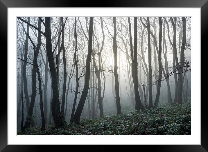  Silence of a winter morning Framed Mounted Print by Andrew Kearton