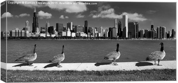 Chicago Geese  Canvas Print by Eamon Fitzpatrick