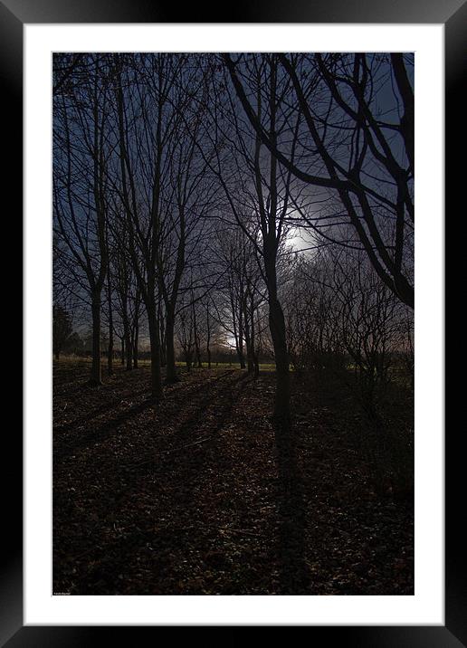 Eerie Wood Framed Mounted Print by Kevin Baxter