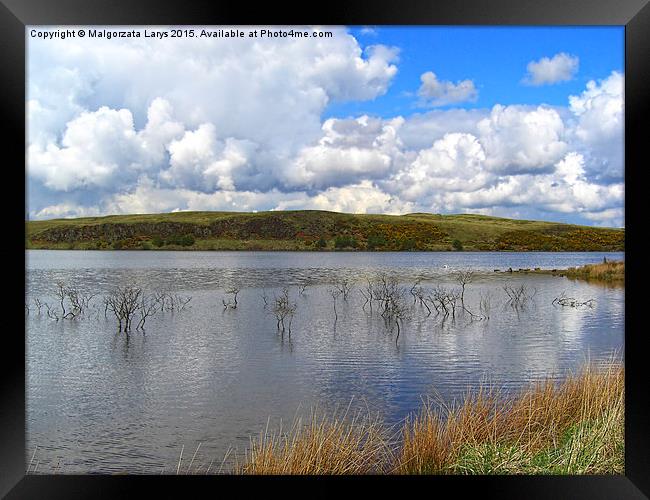 Sunny day, Lily Lake, North Lanarkshire, scotland  Framed Print by Malgorzata Larys