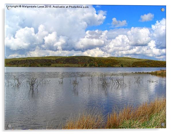 Sunny day, Lily Lake, North Lanarkshire, scotland  Acrylic by Malgorzata Larys
