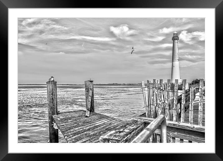  Barnegat Lighthouse Black and White Framed Mounted Print by Tom and Dawn Gari