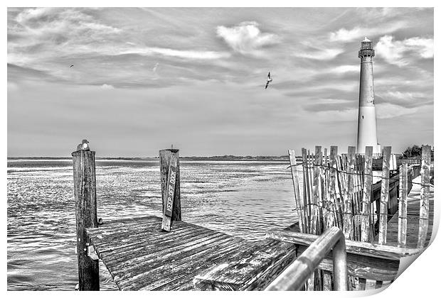  Barnegat Lighthouse Black and White Print by Tom and Dawn Gari