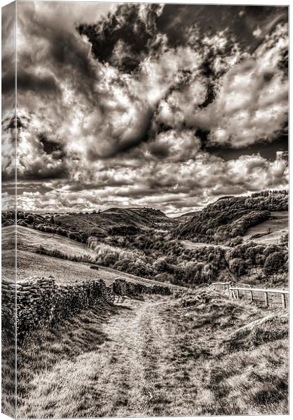 Valley View Mono Canvas Print by Steve Purnell