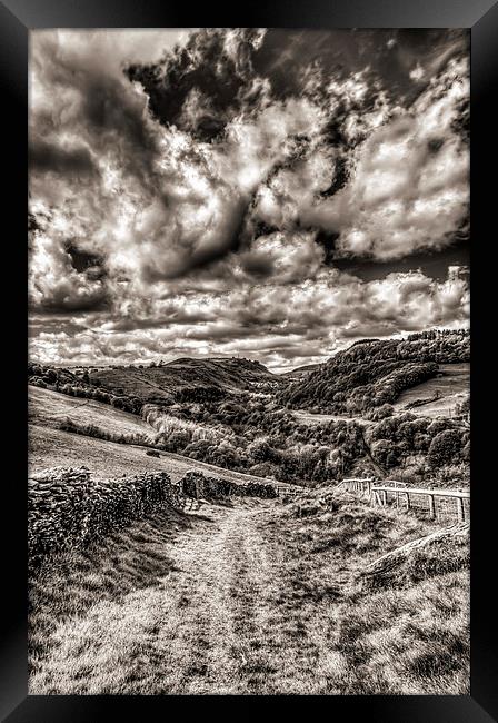 Valley View Mono Framed Print by Steve Purnell