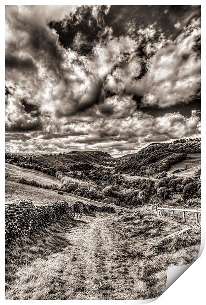 Valley View Mono Print by Steve Purnell