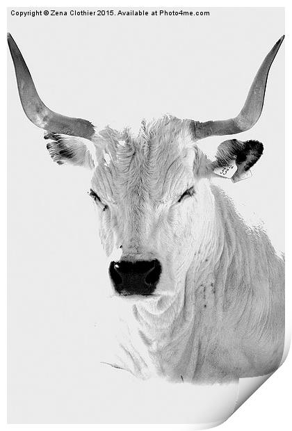 The White Horned Cow Print by Zena Clothier