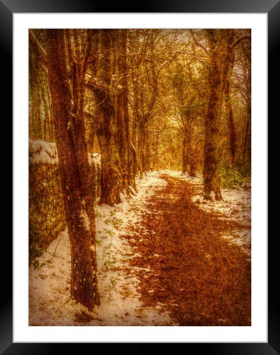  Frosty Paths. Framed Mounted Print by Heather Goodwin