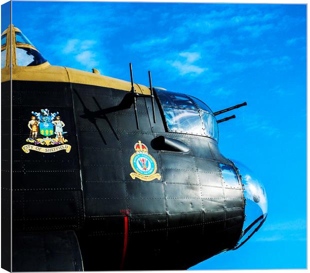  Just Jane just waiting to fly Canvas Print by Stephen Ward