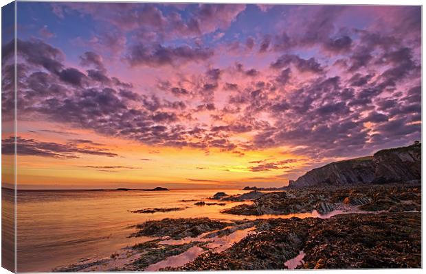   Lee Bay sunrise Canvas Print by Dave Wilkinson North Devon Ph