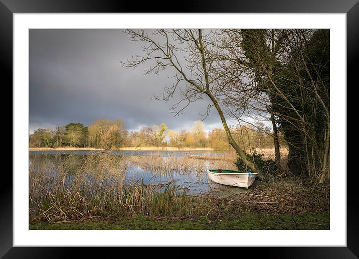  Moored at South Walsham Broad Framed Mounted Print by Stephen Mole