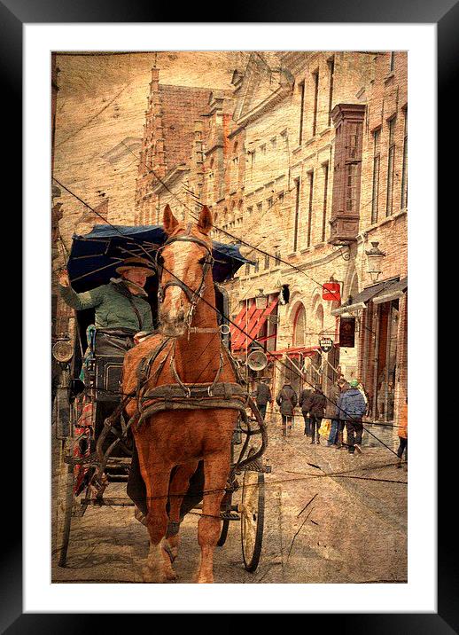  Horse and Driver in Brugge  Framed Mounted Print by sylvia scotting